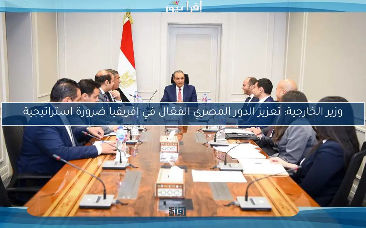 وزير الخارجية: تعزيز الدور المصري الفعّال في إفريقيا ضرورة استراتيجية