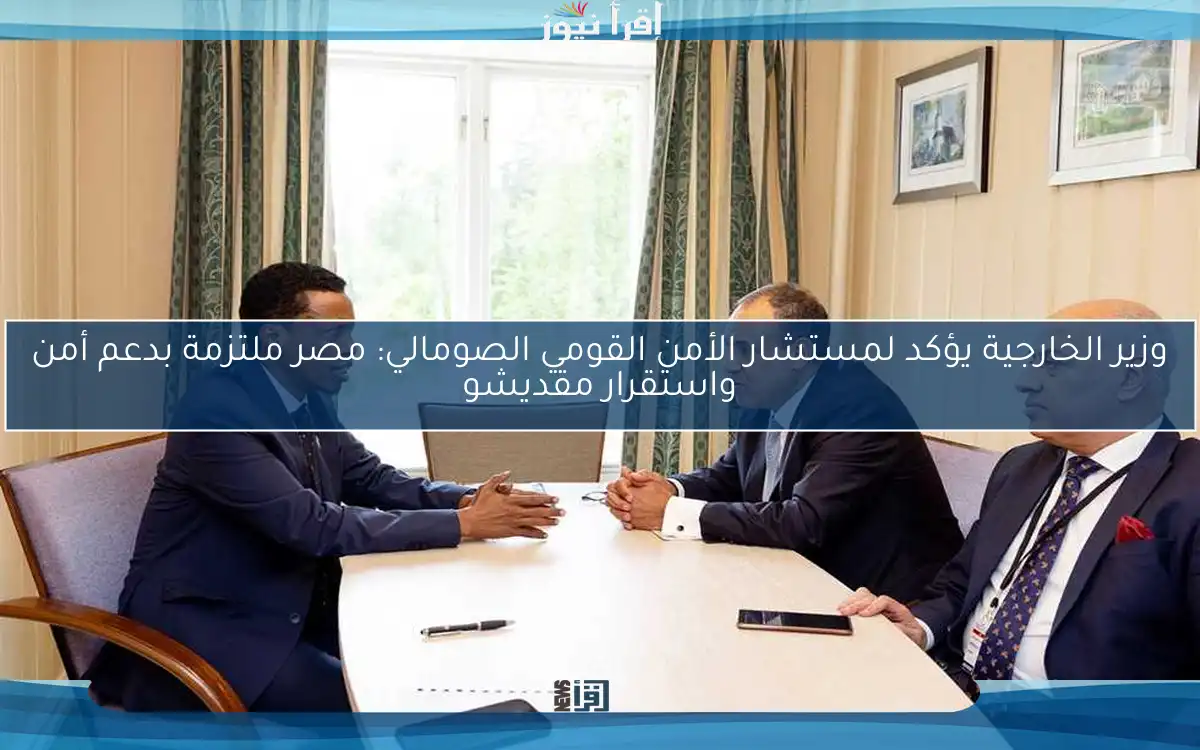 وزير الخارجية يؤكد لمستشار الأمن القومي الصومالي: مصر ملتزمة بدعم أمن واستقرار مقديشو