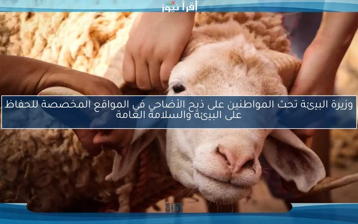 وزيرة البيئة تحث المواطنين على ذبح الأضاحي في المواقع المخصصة للحفاظ على البيئة والسلامة العامة